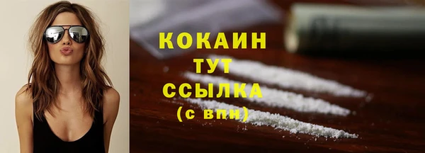apvp Белокуриха